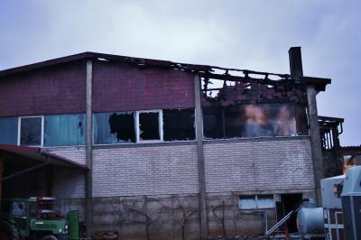TAGBILDER! Winnenden-Hertmannsweiler: Strohlager in Reithalle stand in Vollbrand - Pferde gerettet - Feuerwehr verhindert schlimmeres